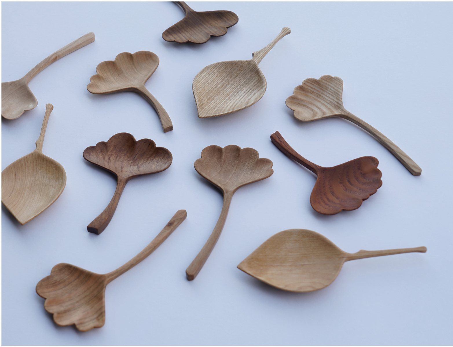 Leaf, another view