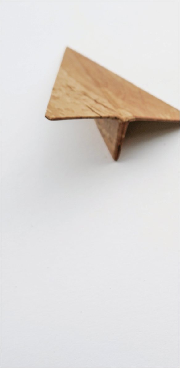 A Wooden Plane